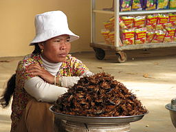By McKay Savage from London, UK [CC-BY-2.0 (https://creativecommons.org/licenses/by/2.0)] Yummy crunchy deep-fried crickets sold by the bag for on-the-go snacks at the bus station market. The guy next to me bought a bag and offered some. They were ok.