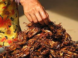 By McKay Savage from London, UK [CC-BY-2.0 (https://creativecommons.org/licenses/by/2.0)], via Wikimedia Commons Yummy crunchy deep-fried crickets sold by the bag for on-the-go snacks at the bus station market. The guy next to me bought a bag and offered some. They were ok.