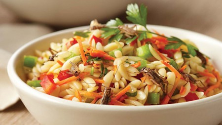 Orzo all'ortottero